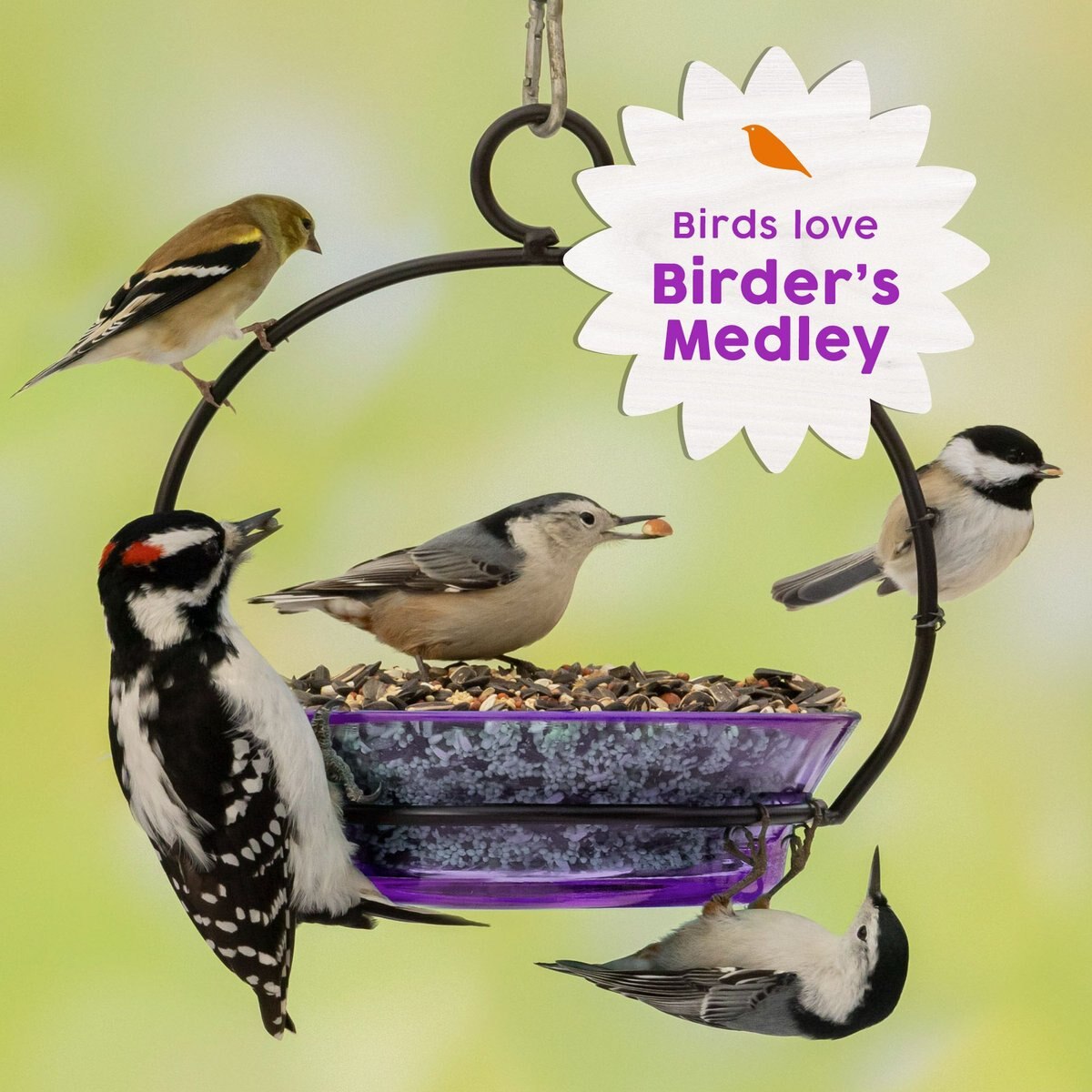 Harvest Seed and Supply Birder's Medley Wild Bird Food， 10-lb bag