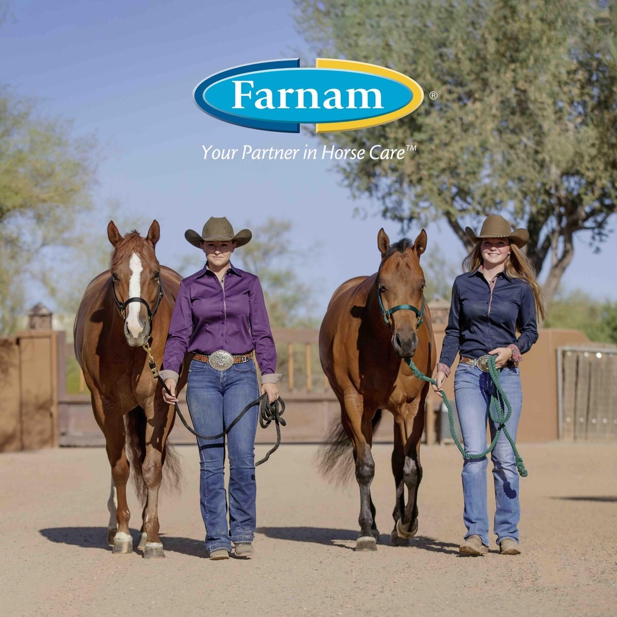 Farnam Horseshoer's Secret Horse Hoof Care Hoof Conditioner