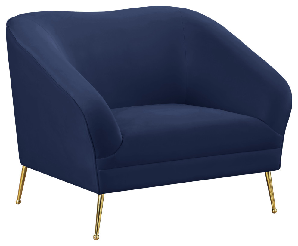 Hermosa Velvet Chair   Midcentury   Armchairs And Accent Chairs   by Meridian Furniture  Houzz