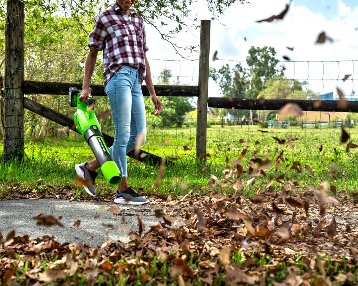 48V (2 x 24V) Leaf Blower | Greenworks Tools