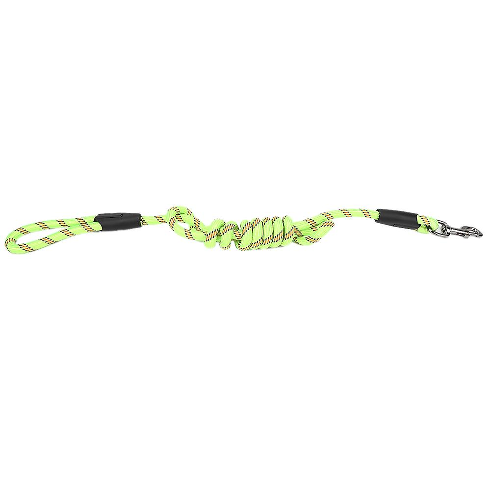 Outdoor High Strength Nylon Pet Dog Traction Rope Supply For Outside Walkinggreen Large