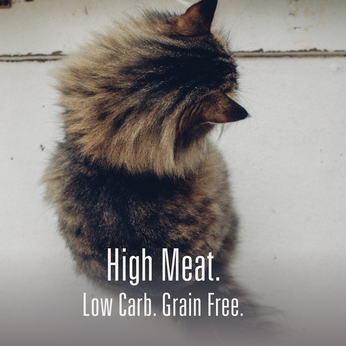 Meat Mates Beef Freeze-Dried Raw Cat Treats