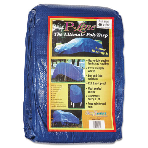 Anchor Products Multiple Use Polyethylene Tarp， 60 ft x 40 ft， Bl， EA (101-4060)