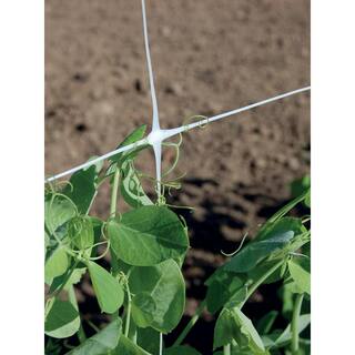 Tenax 36 in. x 3280 ft. White Hortonova Plant Trellis Net 58036607