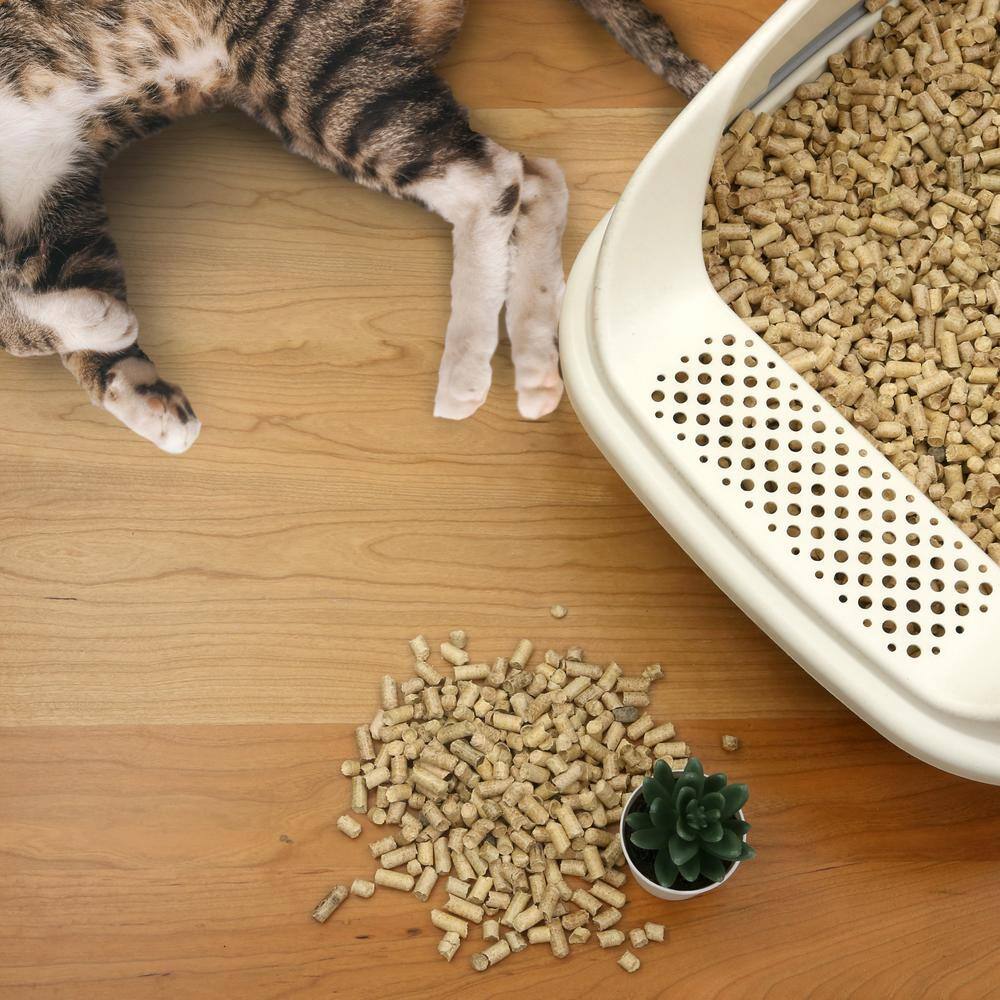 Casual Home 20 lbs. 100% Natural Pine Pellet Unscented Non-Clumping Cat Litter CL000-10