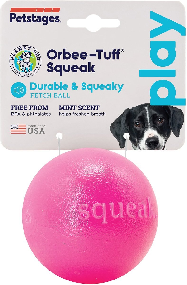 Planet Dog Squeak Ball Dog Toy