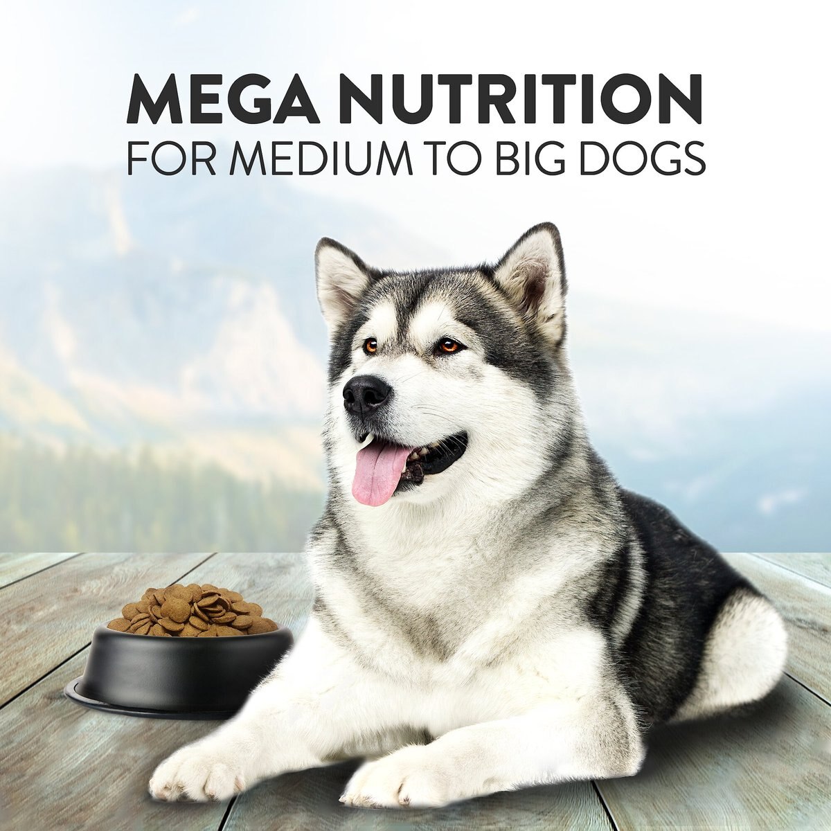 Addiction Mega Complete Balanced Grain-Free Medium to Large Breed Adult Dry Dog Food， 20-lb bag