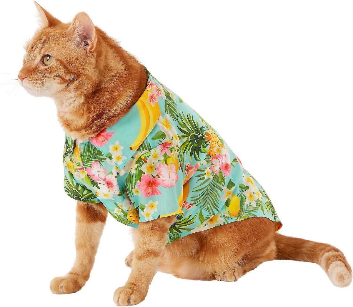 Frisco Pineapple Hawaiian Camp Dog and Cat Shirt