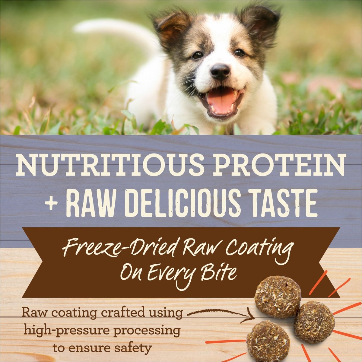 Merrick Healthy Grains Raw-Coated Kibble Puppy Recipe Freeze-Dried Dry Dog Food