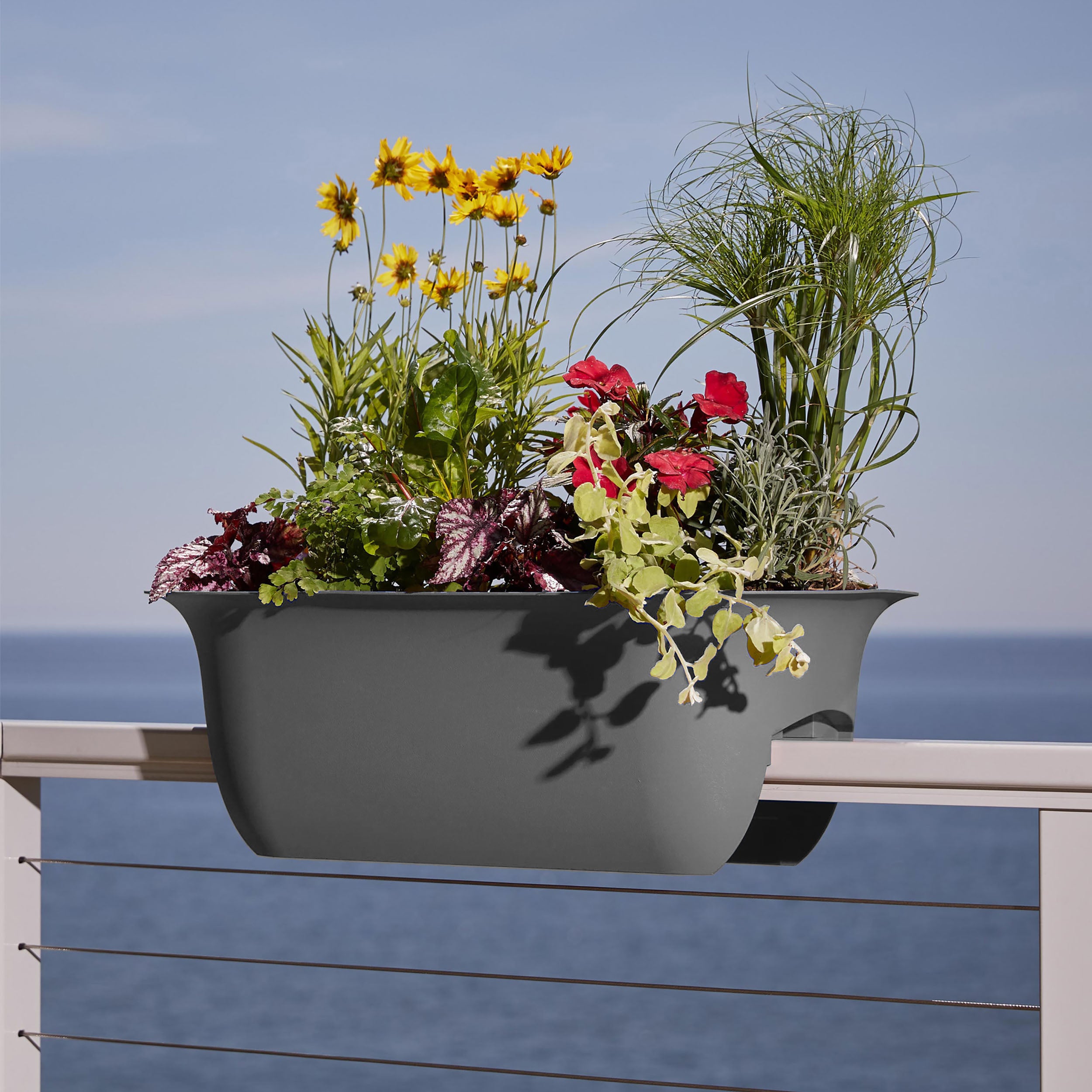 Bloem Modica Deck Rail Planter 26 x 8.75 Plastic Rectangle Charcoal Gray