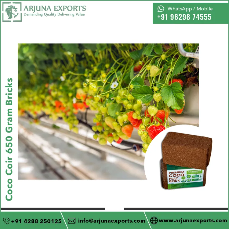 Best Quality Good Selling Natural Coir Pith Coco Coir 650 Gram Bricks for Potting Mix Home Gardening at Wholesale Price