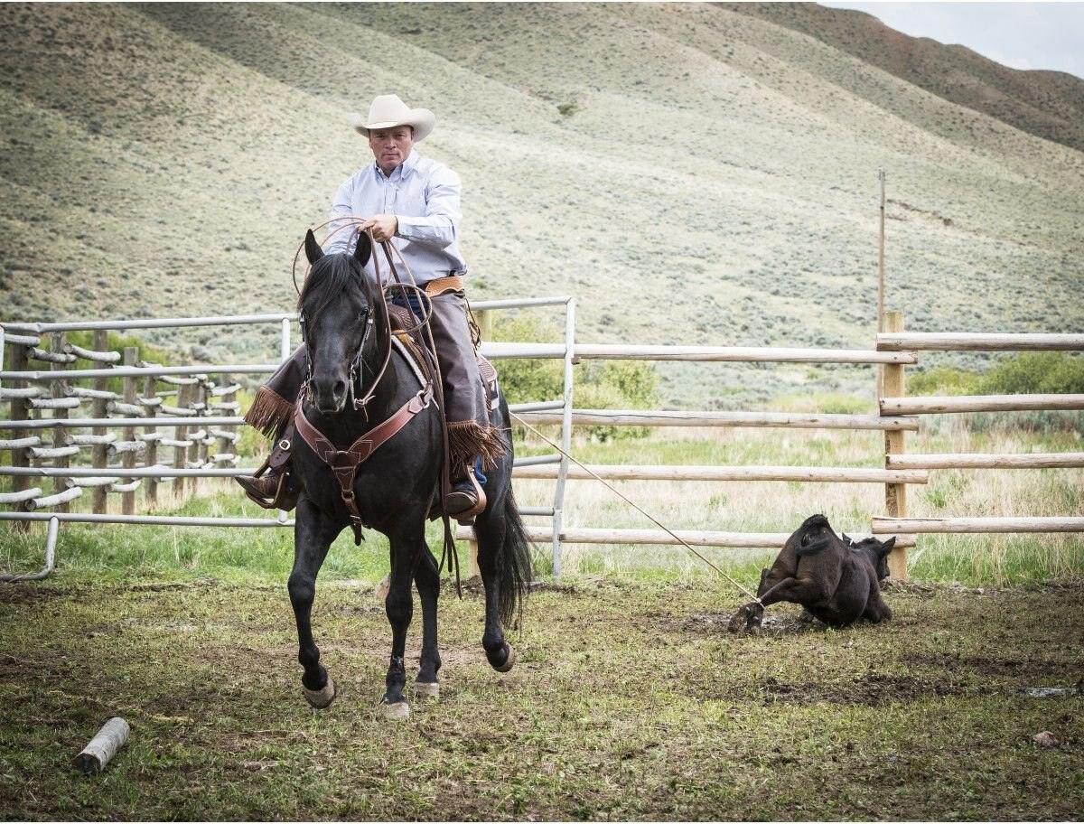 Weaver Leather AirFlex Roper Cinch and Roll Snug Horse Cinch Buckle