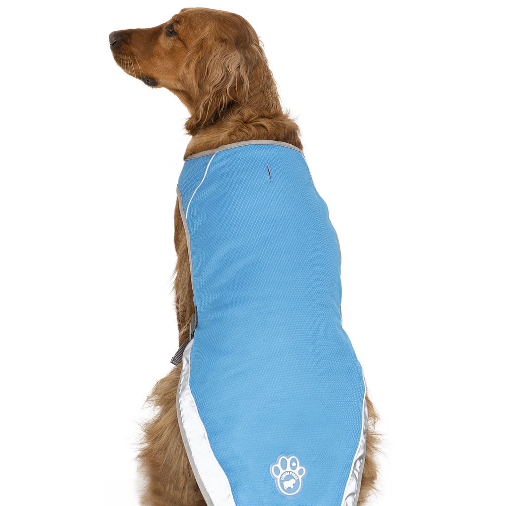 Canada Pooch Chill Seeker Aqua Cooling Dog Vest