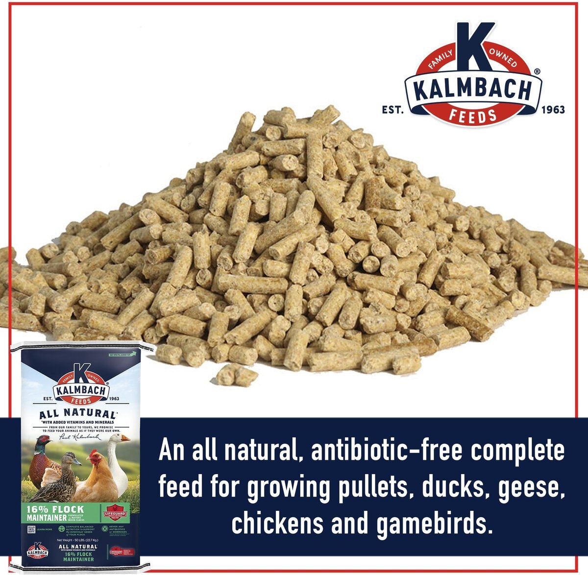 Kalmbach Feeds All Natural 16% Flock Maintainer Poultry Feed