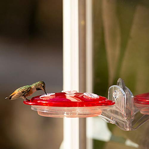 More Birds 3-in-1 Humming Bird Feeder - 6 fl oz