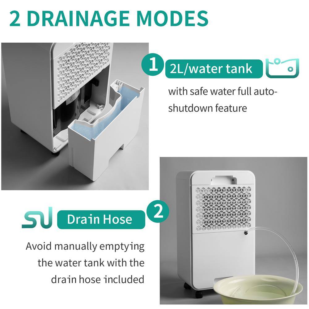 30 pt. 3000 sq.ft. Auto or Manual Drain Dehumidifier in. White with 2L Water Tank jinxDHMDFR1