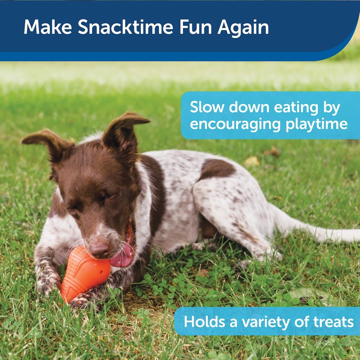 PetSafe Busy Buddy Squeak-N-Treat Booya Tough Dog Chew Toy