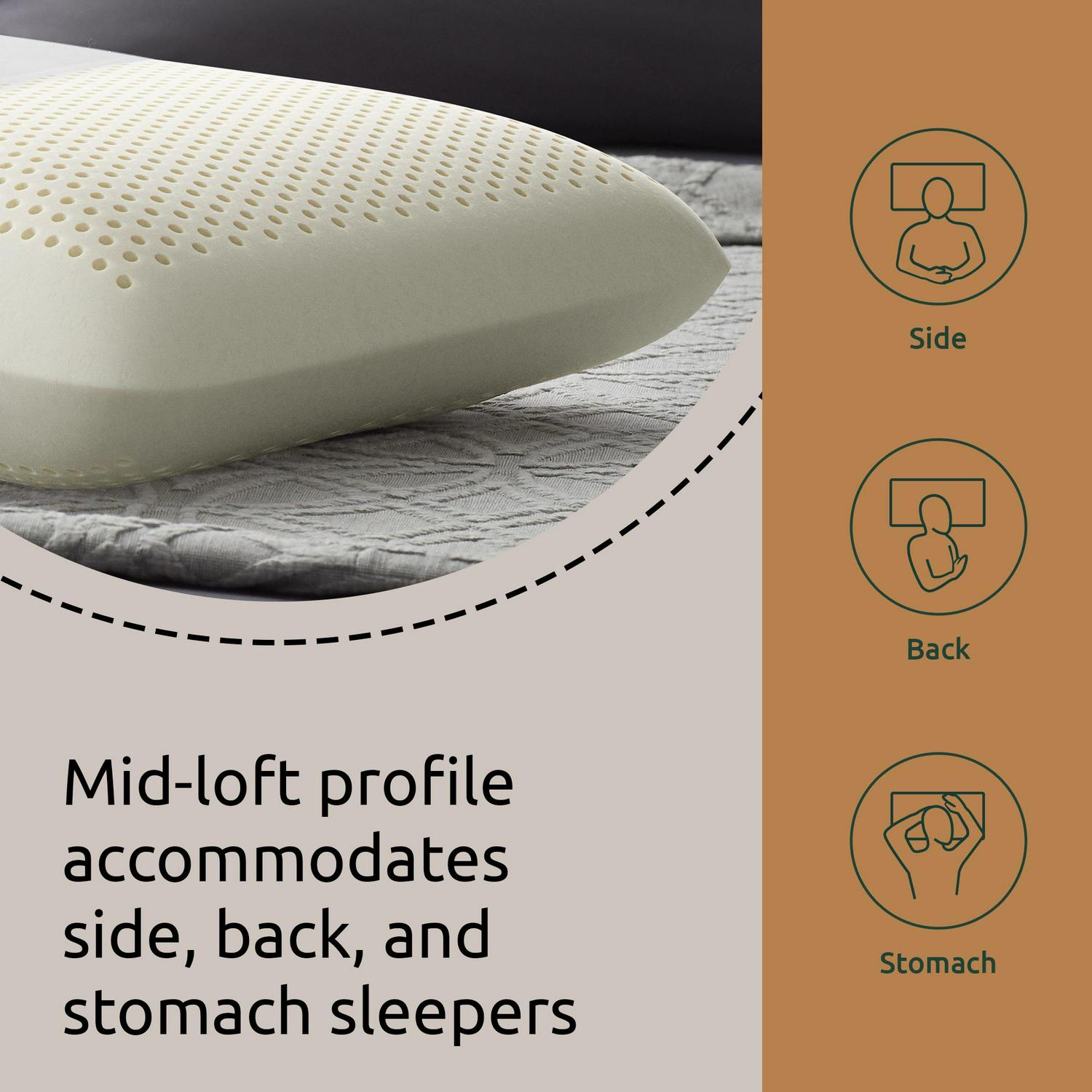 Talalay Latex Foam Mid-Loft Pillow， Queen， Mid-Loft， Rest Haven