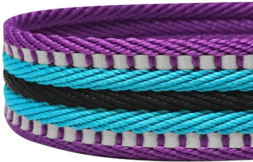 Blueberry Pet 3M Striped Polyester Reflective Dog Leash