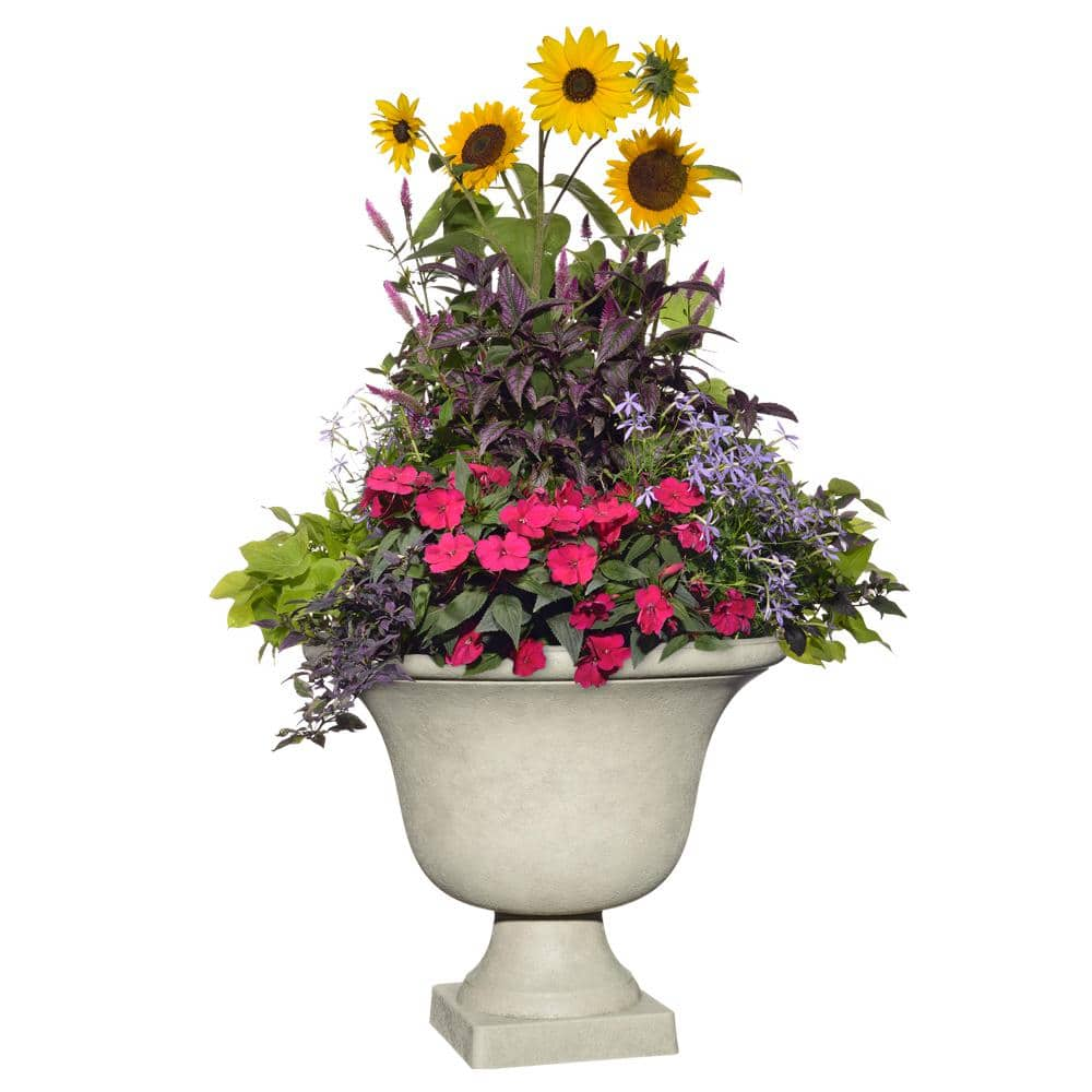 Vigoro 17.8 in. Elise Large White Textured Resin Urn Planter (17.8 in. D x 15 in. H) with Drainage Hole HD1436-598R