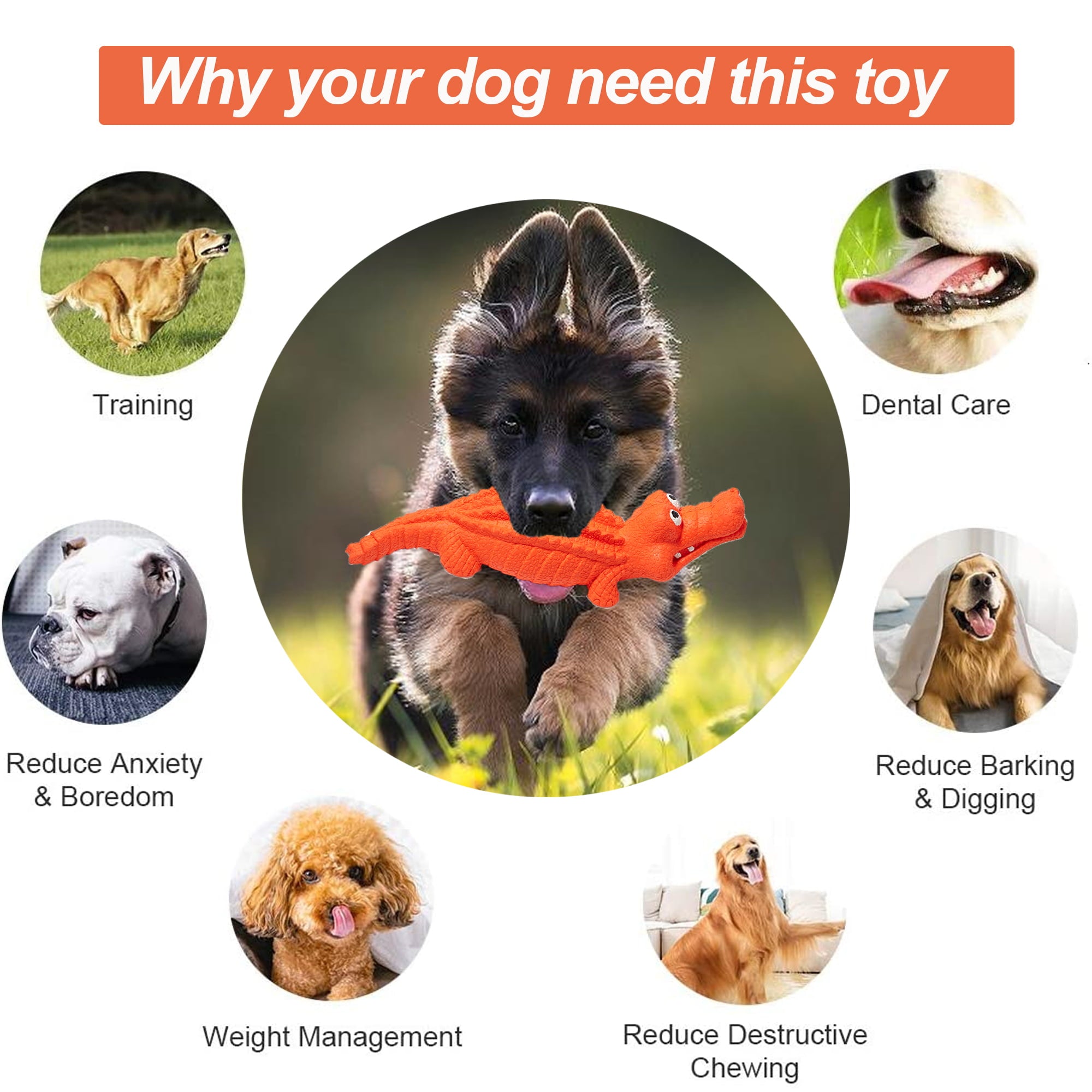 Pet Deluxe Squeaky Dog Toys for Aggressive Chewers， Indestructible Dog Toys Natural Rubber， Interactive Tough Dog Chew Crocodile Toy for Medium Large Dogs