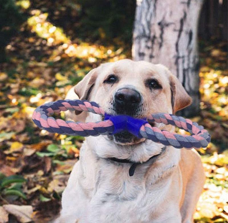 Strong 8 shaped dog rope toys