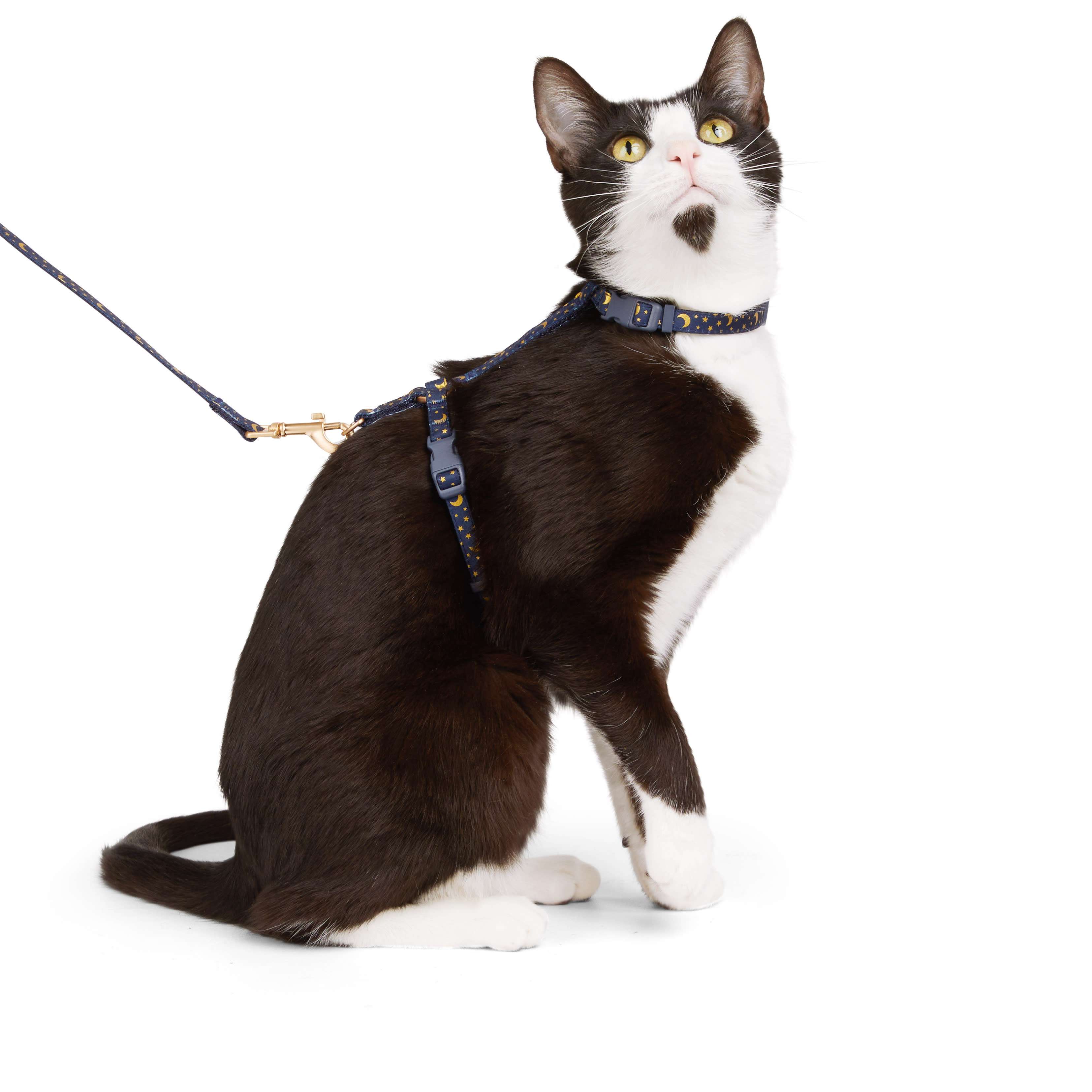 YOULY Moon  Star Cat Harness  Leash Kit