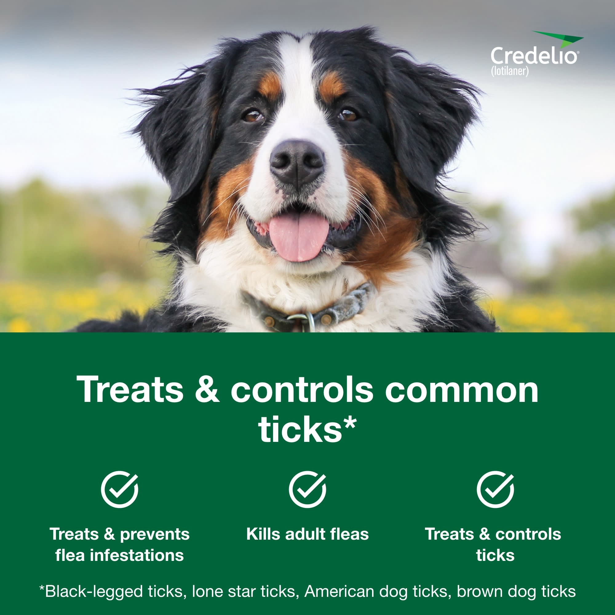 Credelio Chewable Tablet for Dogs 50.1-100 lbs， 1 Month Supply