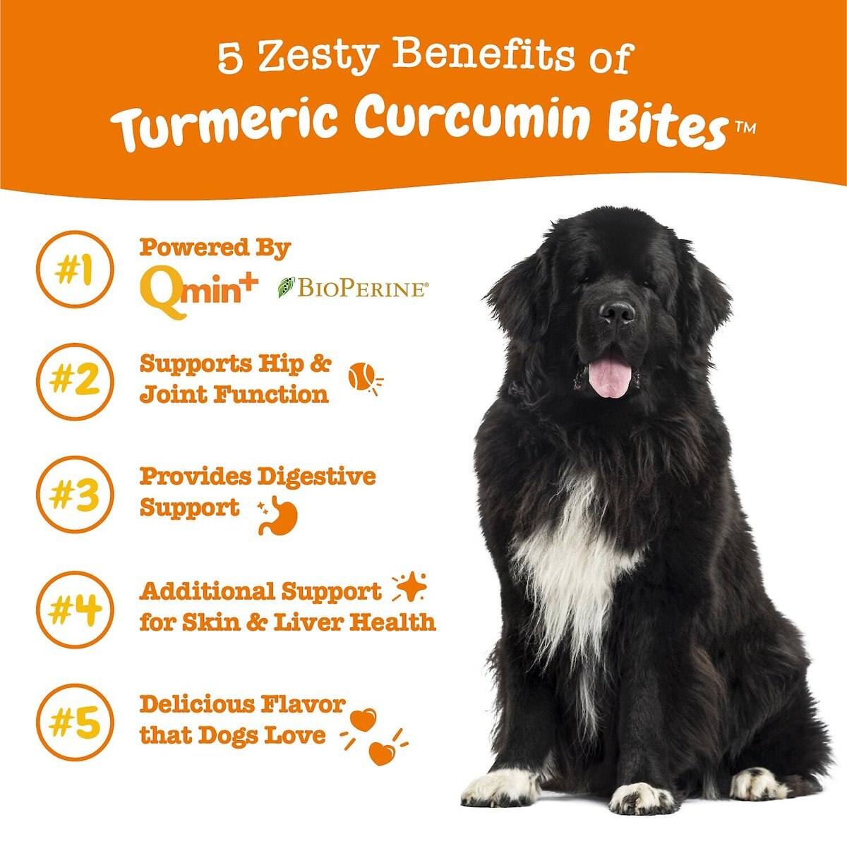 Zesty Paws Turmeric Curcumin Bites Bacon Flavored Soft Chews Multivitamin for Dogs