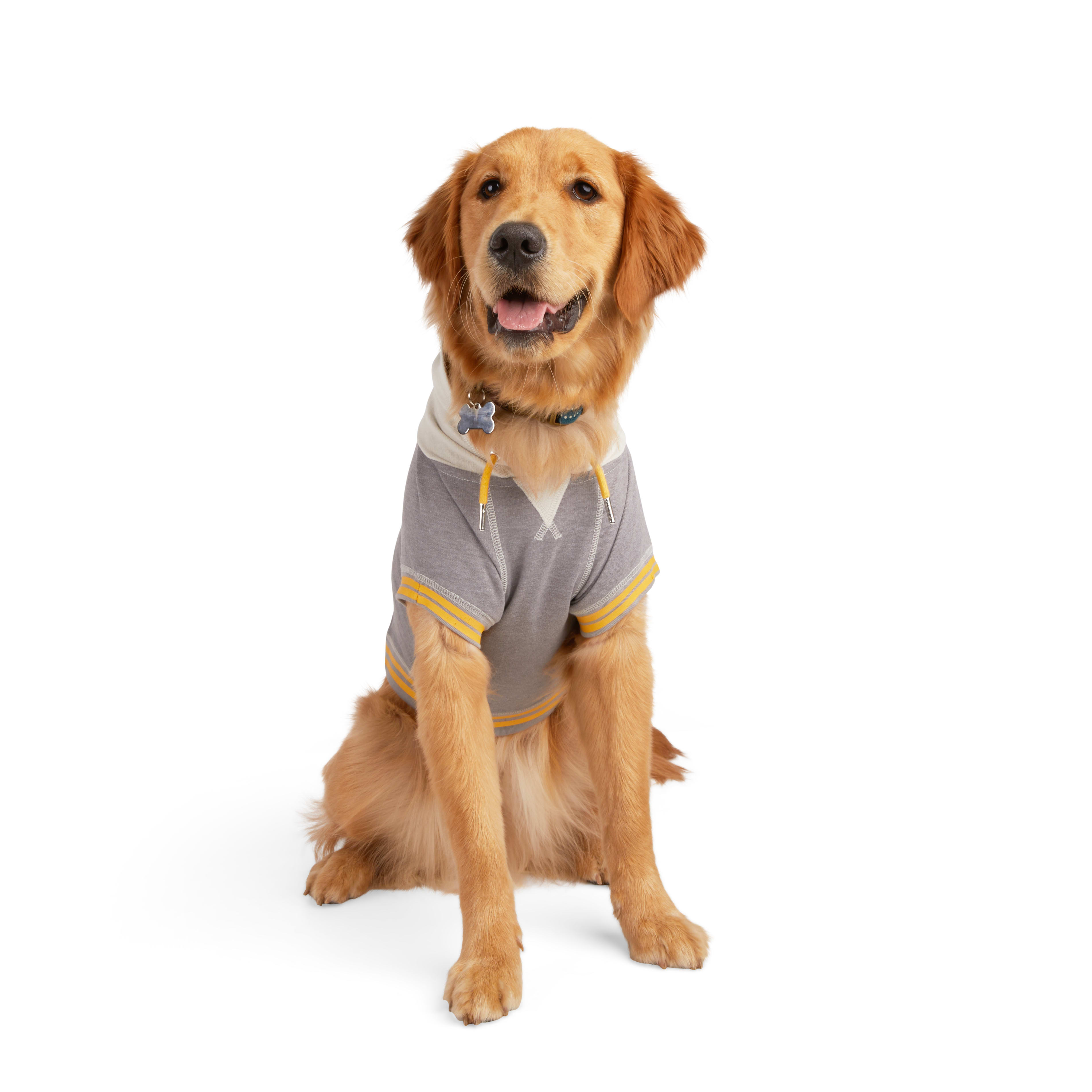 Reddy Grey Varsity Dog Hoodie， 3X-Large