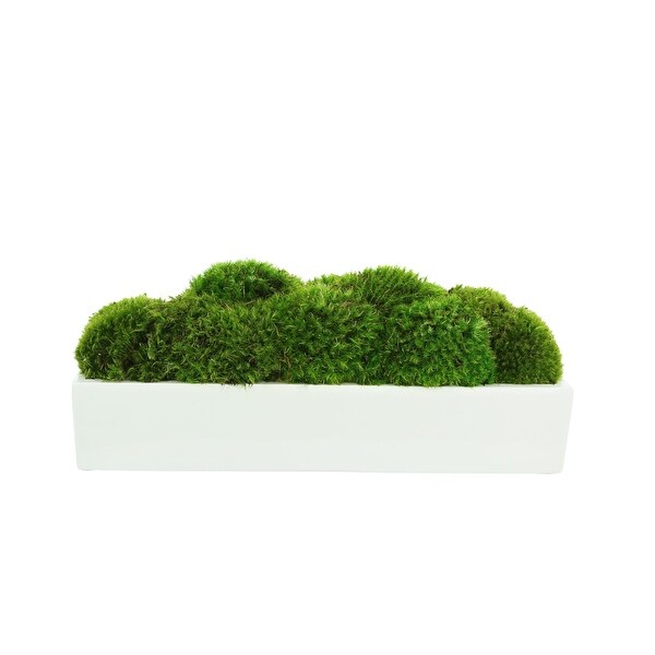 Mood Moss Arrangement in a Fiberstone Planter