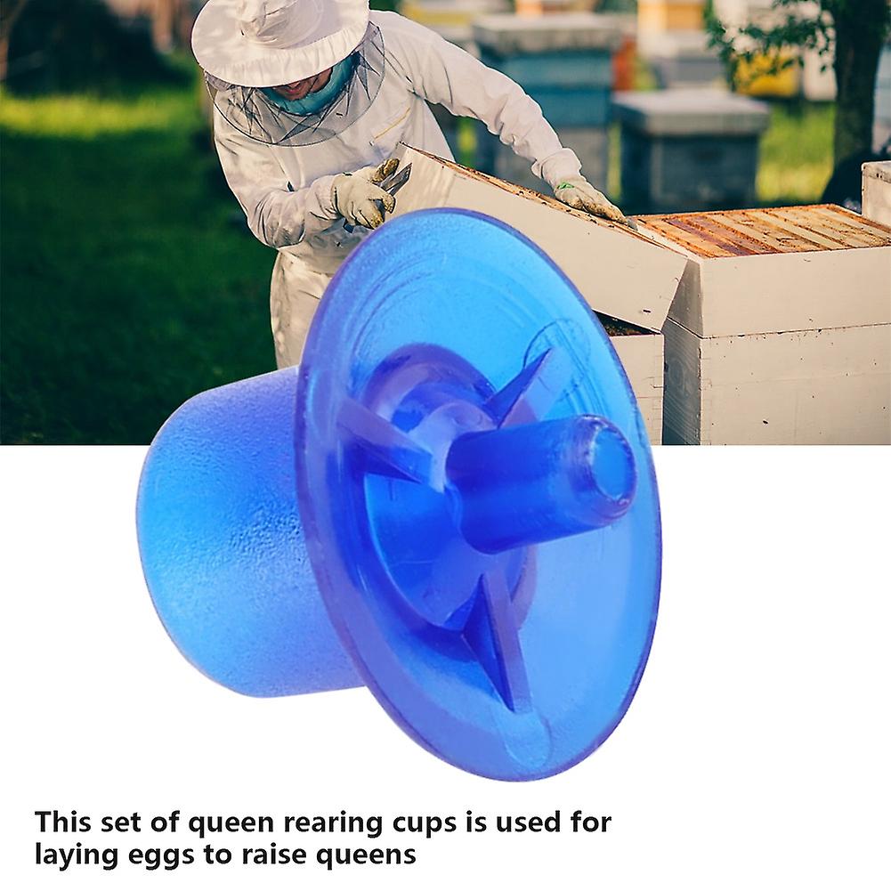 50pcs Beekeeping Queen Rearing Cell Cups Bee Keeper Equipment Tool Apiculture Supply Blue