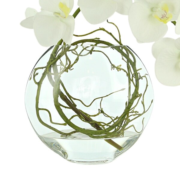 Orchid Floral in Glass Vase