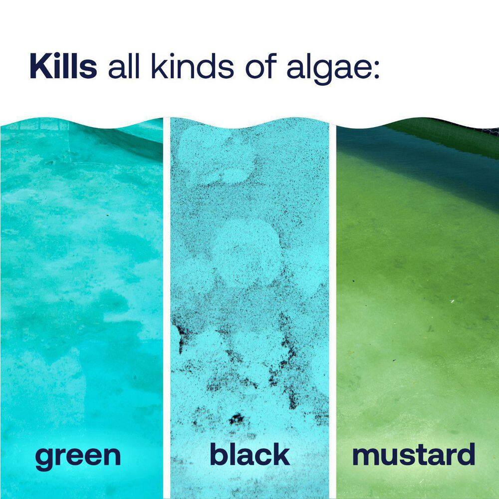 HTH 1 Qt. Pool Care Algaecide -Algae Guard Advanced 67084