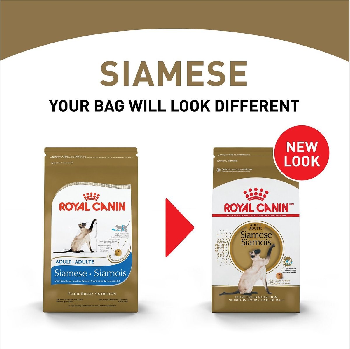 Royal Canin Feline Breed Nutrition Siamese Adult Dry Cat Food