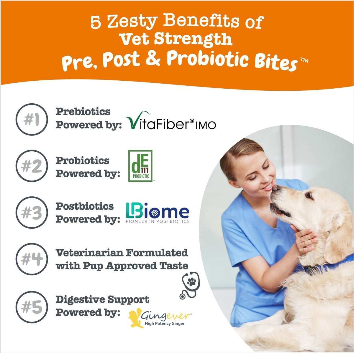 Zesty Paws Vet Prebiotic， Probiotic， and Postbiotic Digestive Dog Vitamins， 90 Count