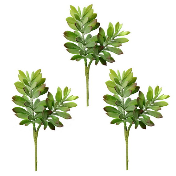 Vickerman FO181701 10 Green Crassula Tetragona Pi...