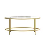 Merrick Lane Round Glass Coffee Table with Round Brushed Gold Frame