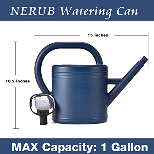 NERUB Watering Can 1 Gallon for Indoor Plants, Garden Watering Cans Outdoor Plant House Flower, Gallon Watering Can Large Long Spout with Sprinkler Head (Blue)