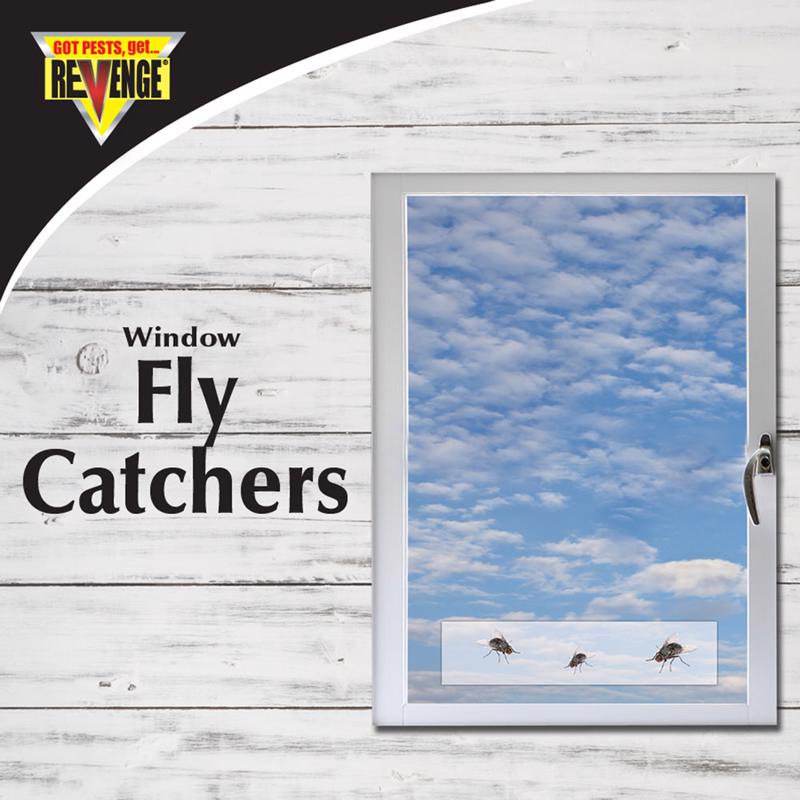 FLY CATCHER WINDW/SCREEN