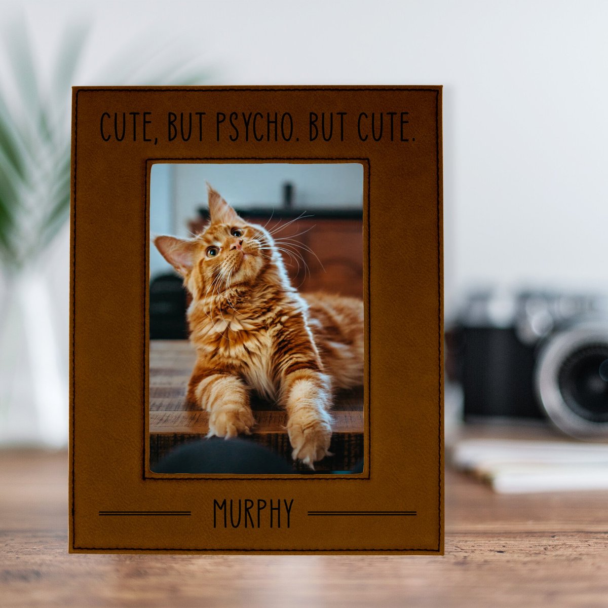 904 Custom Personalized Cute But Psycho Picture Frame