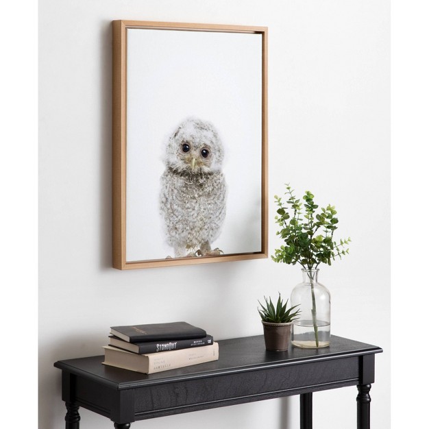 X 24 quot Sylvie Animal Studio Owl Framed Canvas By Amy Peterson Natural Kate amp Laurel All Things Decor