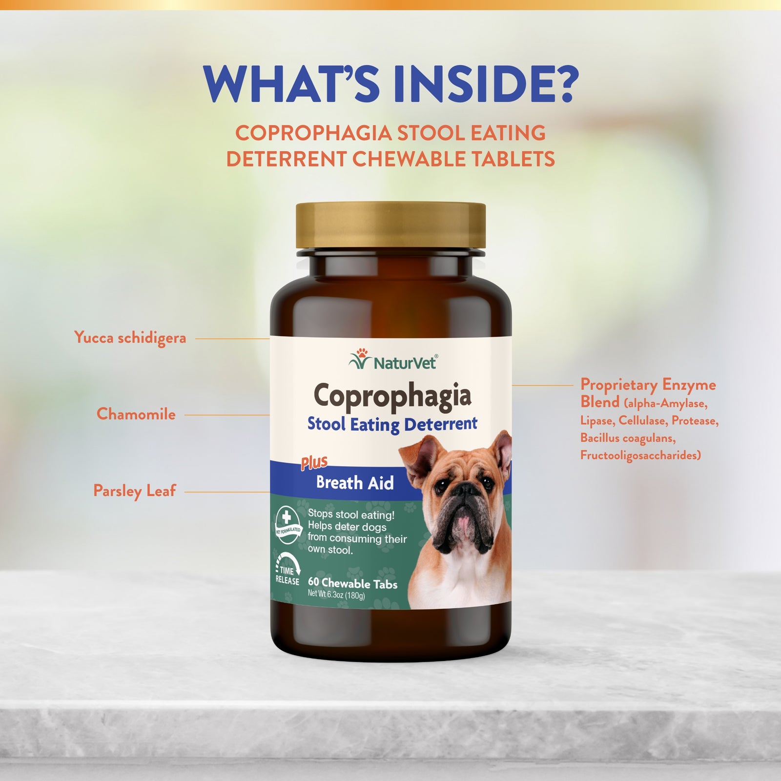 NaturVet Coprophagia Stool Eating Deterrent Chewable Tablets for Dogs