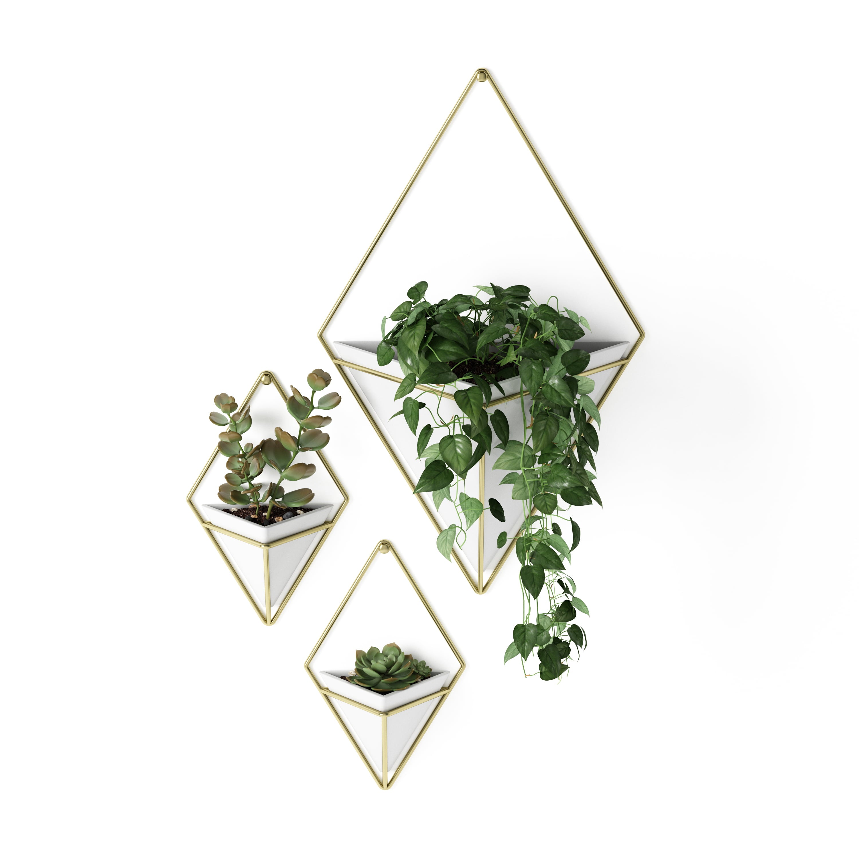 Umbra Trigg Ceramic Hanging Planter Wall Décor, Set of 2 White/Brass