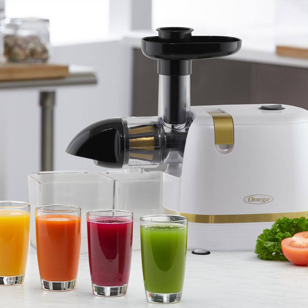 Omega Cold Press 365 Compact Masticating Horizontal Juicer in White H3000RWH13