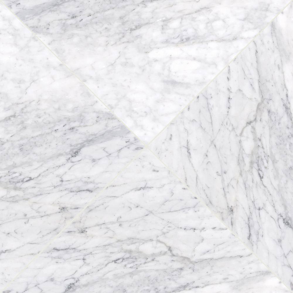 MSI Carrara White 12 in. x 12 in. Polished Marble Stone Look Floor and Wall Tile (10 sq. ft.Case) TCARRWHT1212