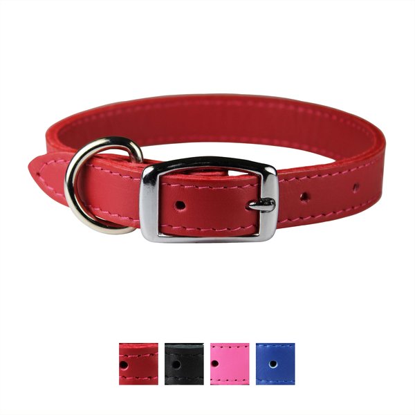 OmniPet Signature Leather Dog Collar