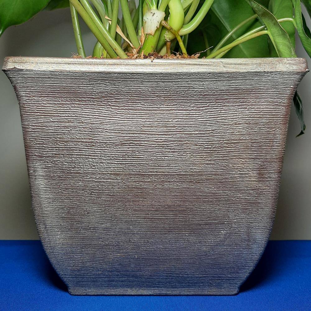 EverGrace Philodendron Burle Marx Plant in 8 in. Decorative Resin Pot BrlMrx008