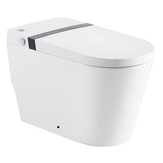 Aoibox 11 in. Rough 1-Piece 1GPF Single Flush Elongated Smart Toilet in White Seat Included SNMX5130