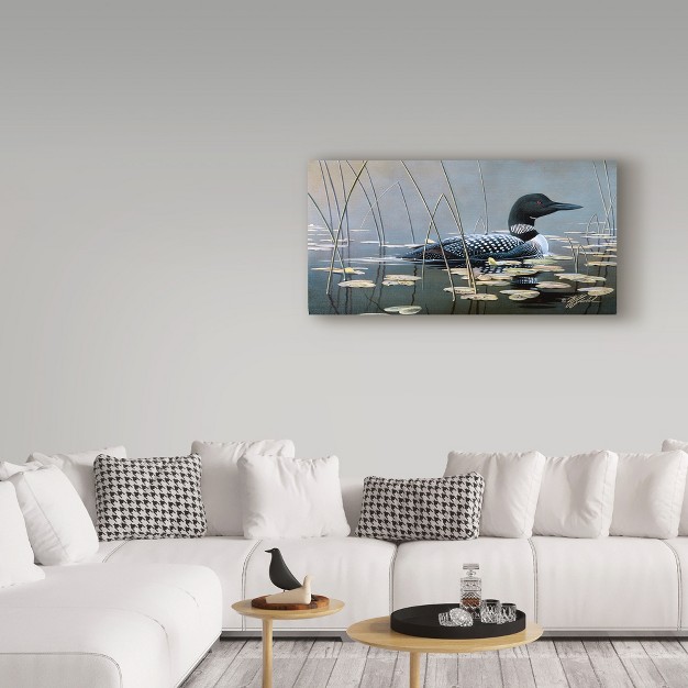 Trademark Fine Art wilhelm Goebel x27 loon In Reeds x27 Canvas Art